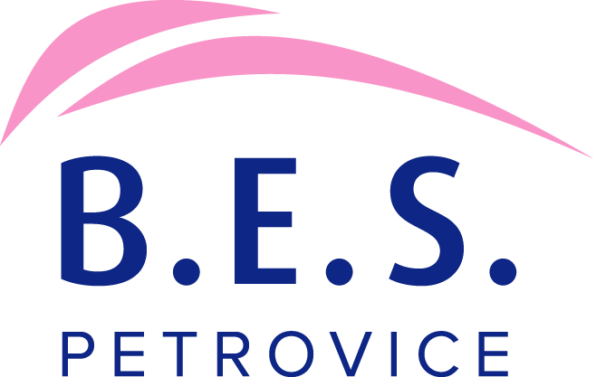 B.E.S. PETROVICE